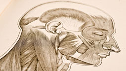 Treatment of TMJ / Grinding / Clenching